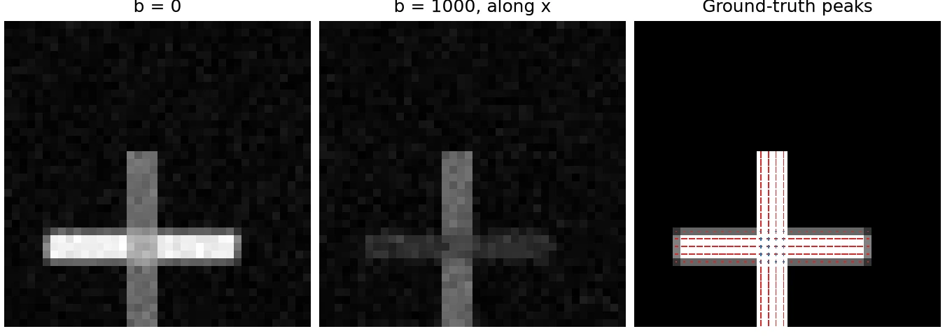 Three panels of the plane that holds two simulated bundles crossing at 90 degrees, one along x and one along y. The first panel is the b = 0 image, where the horizontal bundle is brighter. The second is a diffusion-weighted image with the gradient along x, where both bundles are dark and the horizontal one is darker. The third draws the ground-truth peaks as lines along each bundle, with two lines in the crossing