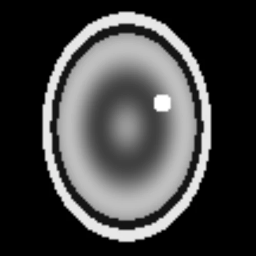The axial view with the crosshair and the text hidden
