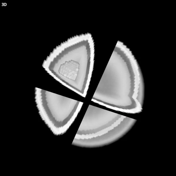 The head with its volume rendering dimmed, so the surface of the blob inside shows