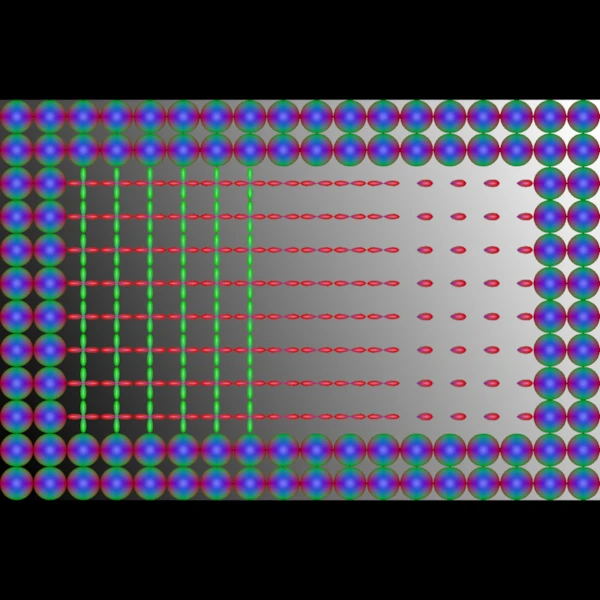 Synthetic FOD glyphs on an axial slice: crossing fibres, a single bundle, one-sided FODs at its end, and a rim of round FODs