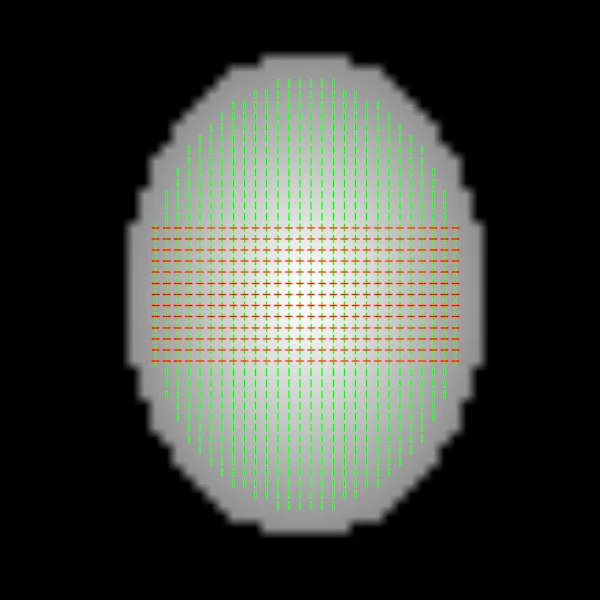The same peaks drawn with equal lengths, showing directions only
