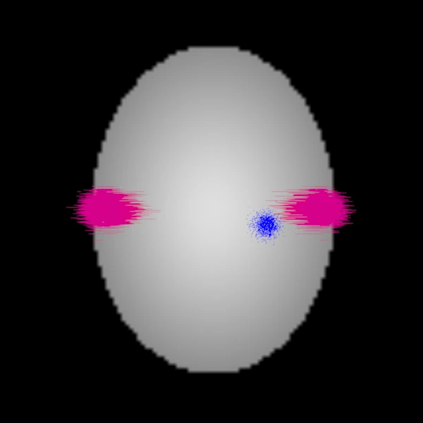 Axial view of synthetic bundles over a head: only the streamlines in a slab around the slice are drawn