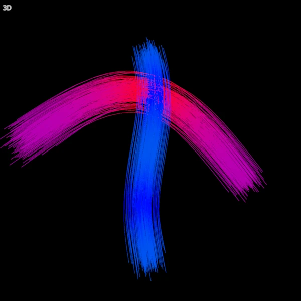 Two crossing synthetic bundles drawn as lines in 3D