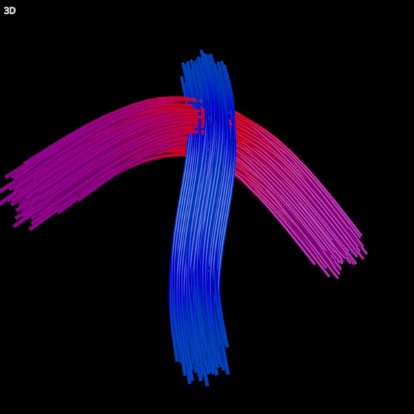 The same bundles drawn as lit tubes, coloured by direction
